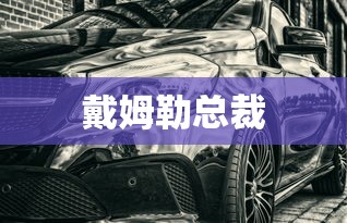 戴姆勒总裁  第1张