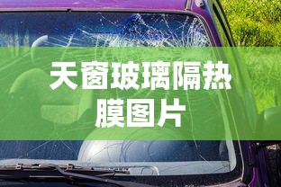 天窗玻璃隔热膜图片  第1张