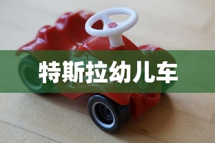 特斯拉幼儿车  第1张