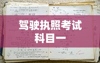 驾驶执照考试科目一  第1张