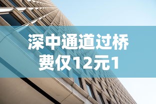 深中通道过桥费仅12元1  第1张