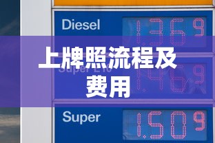 上牌照流程及费用  第1张