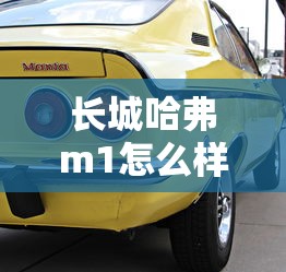 m1887霰弹  第1张