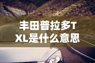 丰田普拉多TXL是什么意思  第1张