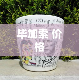 毕加索 价格  第1张