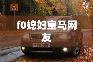 f0媳妇宝马网友  第1张