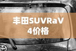 丰田SUVRaV4价格  第1张