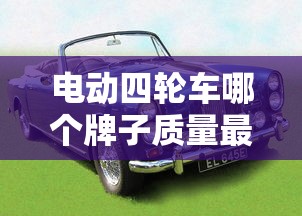 电动四轮车哪个牌子质量最好耐用  第1张