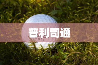 普利司通  第1张