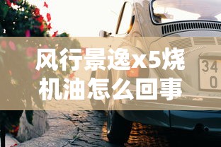 风行景逸x5烧机油怎么回事  第1张