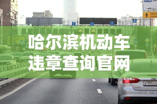 哈尔滨机动车违章查询官网  第1张