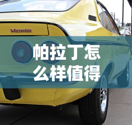 帕拉丁怎么样值得买吗  第1张