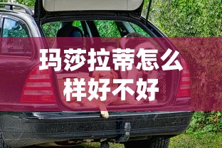 玛莎拉蒂怎么样好不好  第1张