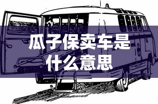 瓜子保卖车是什么意思  第1张