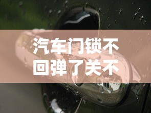 汽车门锁不回弹了关不住门  第1张