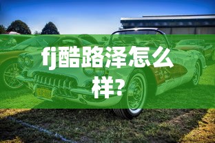 fj酷路泽怎么样?  第1张
