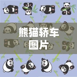 熊猫轿车图片  第1张