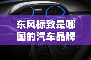 东风标致是哪国的汽车品牌  第1张