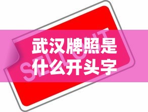 武汉牌照是什么开头字怎么读  第1张