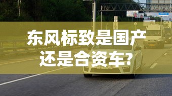 东风标致是国产还是合资车?  第1张