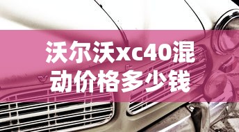 沃尔沃xc40混动价格多少钱  第1张
