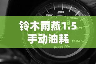 铃木雨燕1.5手动油耗  第1张