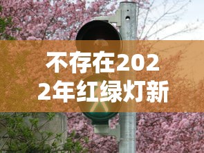 不存在2022年红绿灯新国标怎么处罚  第1张
