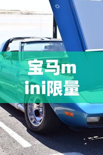 福特福睿斯价格  第1张