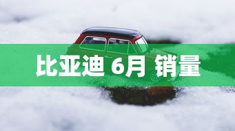 比亚迪 6月 销量  第1张