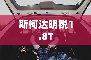 斯柯达明锐1.8T  第1张