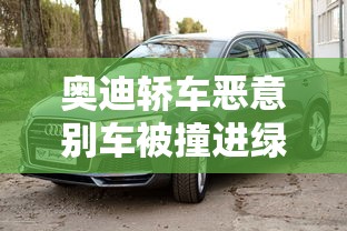 奥迪轿车恶意别车被撞进绿化带怎么办  第1张