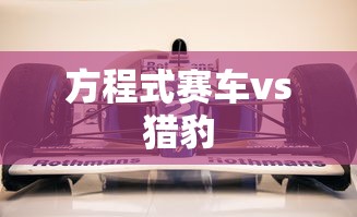 方程式赛车vs猎豹  第1张