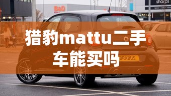 猎豹mattu二手车能买吗  第1张