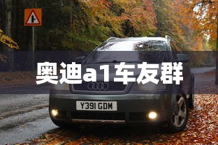 奥迪a1车友群  第1张