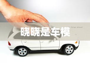 晓晓是车模  第1张
