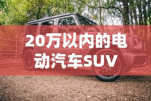 20万以内的电动汽车SUV  第1张