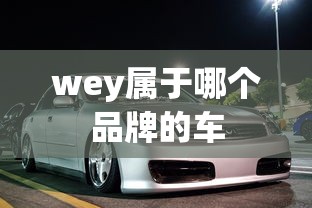 wey属于哪个品牌的车  第1张