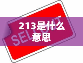 213是什么意思  第1张
