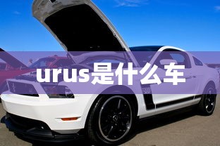 urus是什么车  第1张
