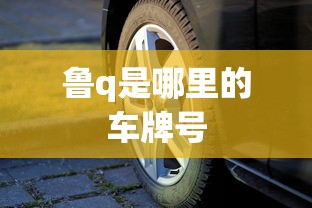 鲁q是哪里的车牌号  第1张