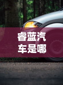 睿蓝汽车是哪个公司的  第1张