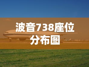 波音738座位分布图  第1张