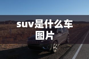 suv是什么车图片  第1张