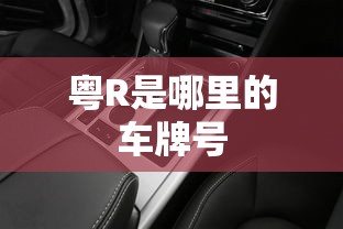 粤R是哪里的车牌号  第1张