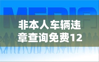 非本人车辆违章查询免费12123怎么查  第1张