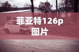菲亚特126p图片  第1张