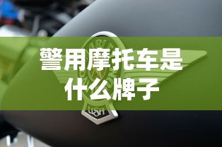 警用摩托车是什么牌子  第1张