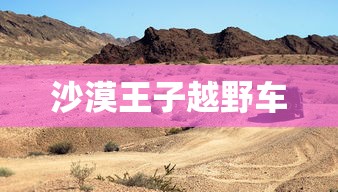 opporenoz参数配置详情  第1张