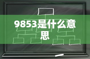 9853是什么意思  第1张