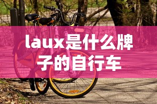 laux是什么牌子的自行车  第1张